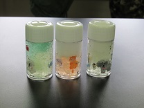 lec-bus2016-5.jpg